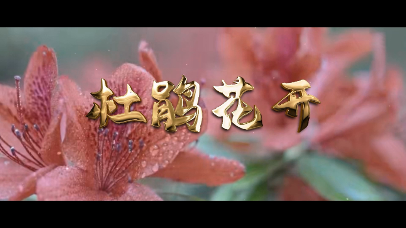 微信图片_20231123144438.png