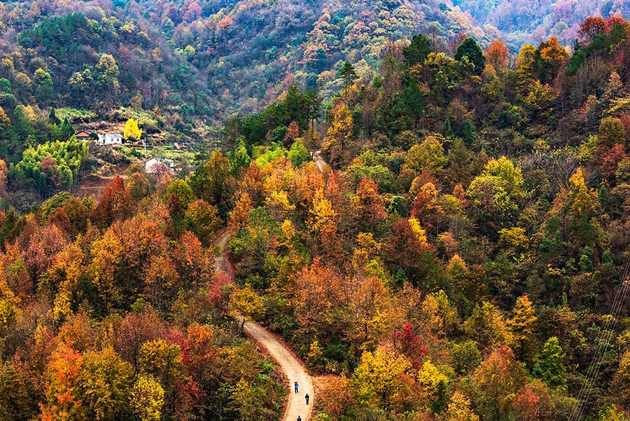 a625e98449c5475fa178358d2411d79d.jpg