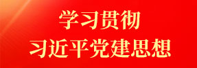 学习贯彻习近平党建思想