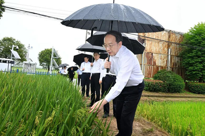 365球赛平台